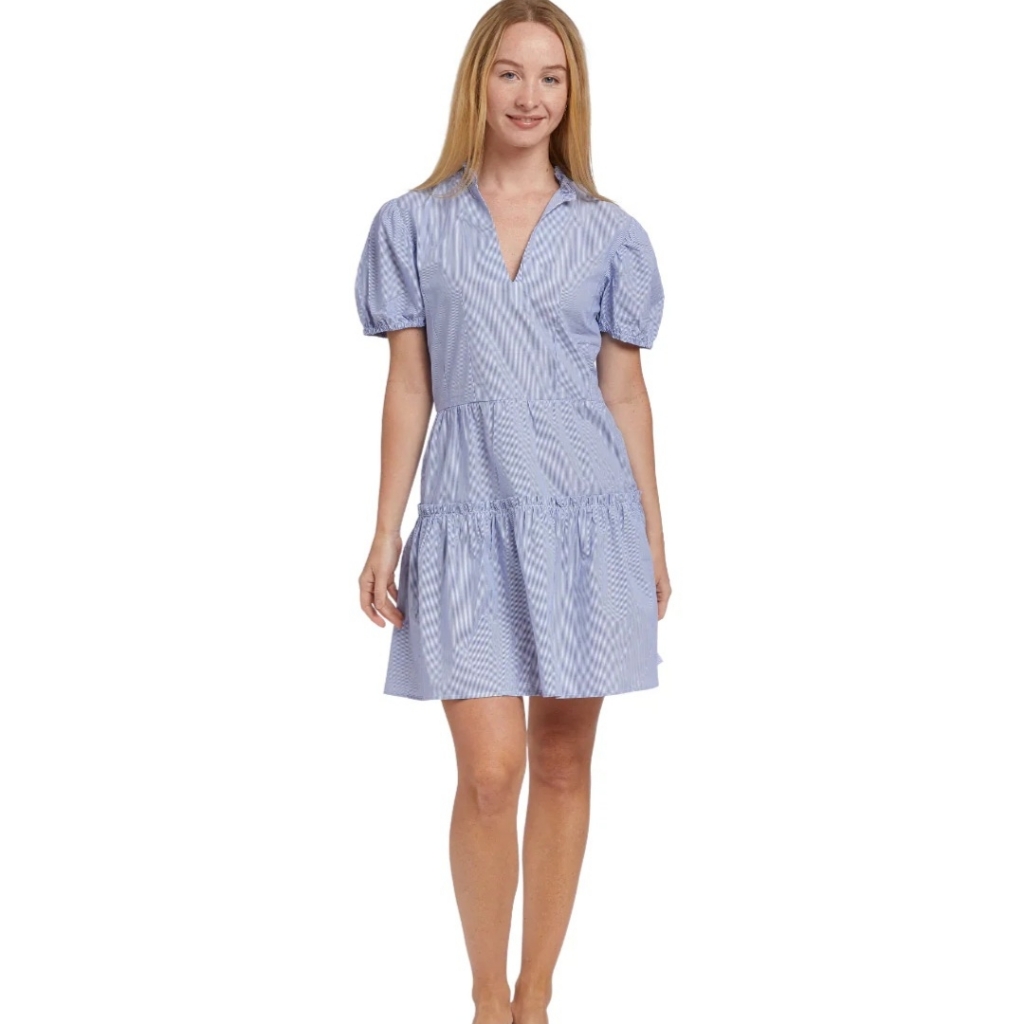 Taylor Tillman Women's Everly Dress In Blue Stripe, Size Xs, $194 Nwt